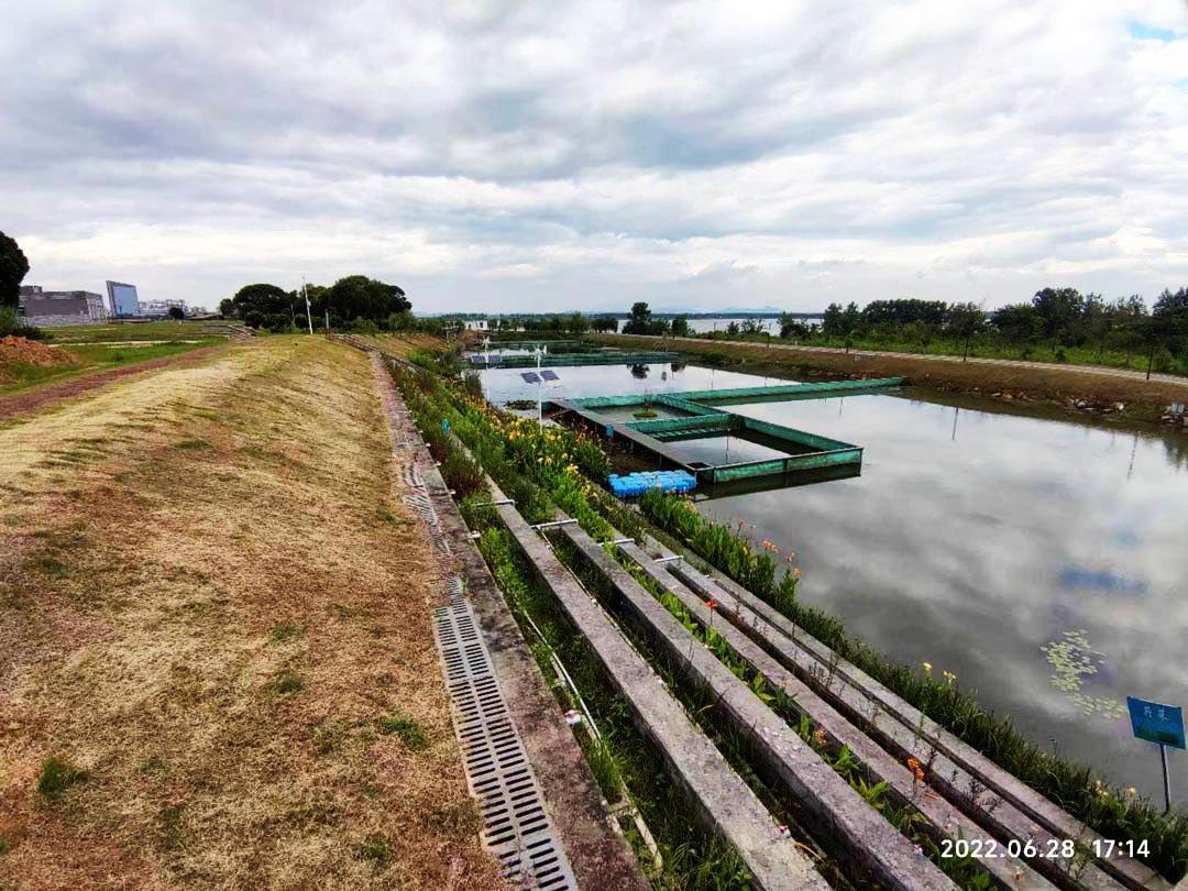 鄱阳湖模型试验研究基地室外监控改造项目